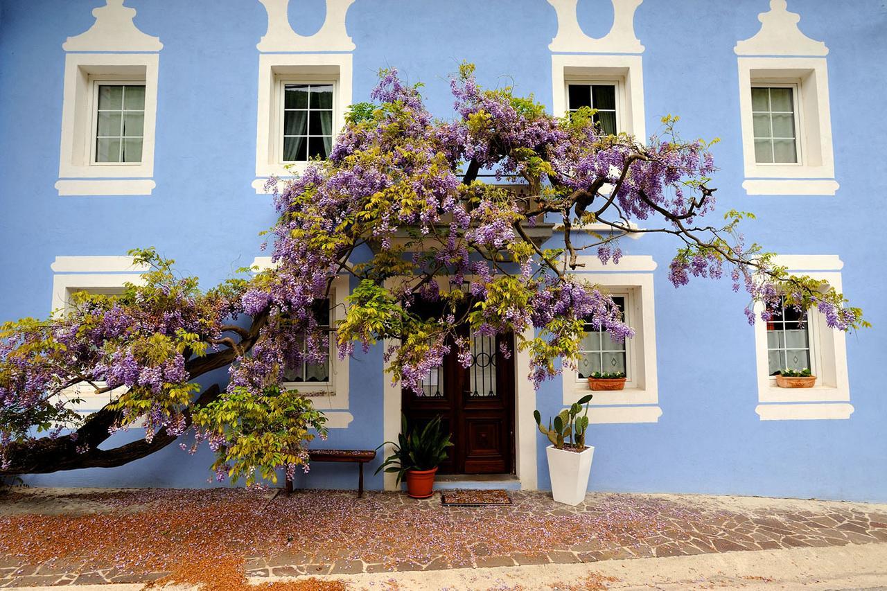 The Blue House Hotel Tolmin Luaran gambar